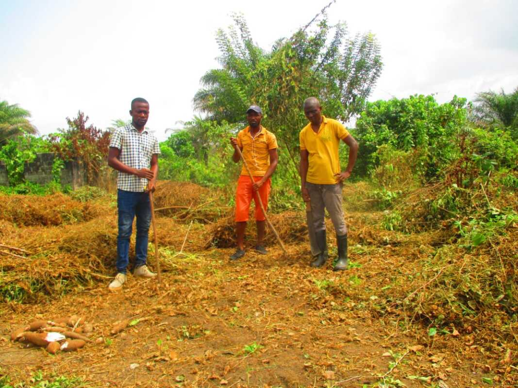 News from the TOKYO 8 experiment in Liberia