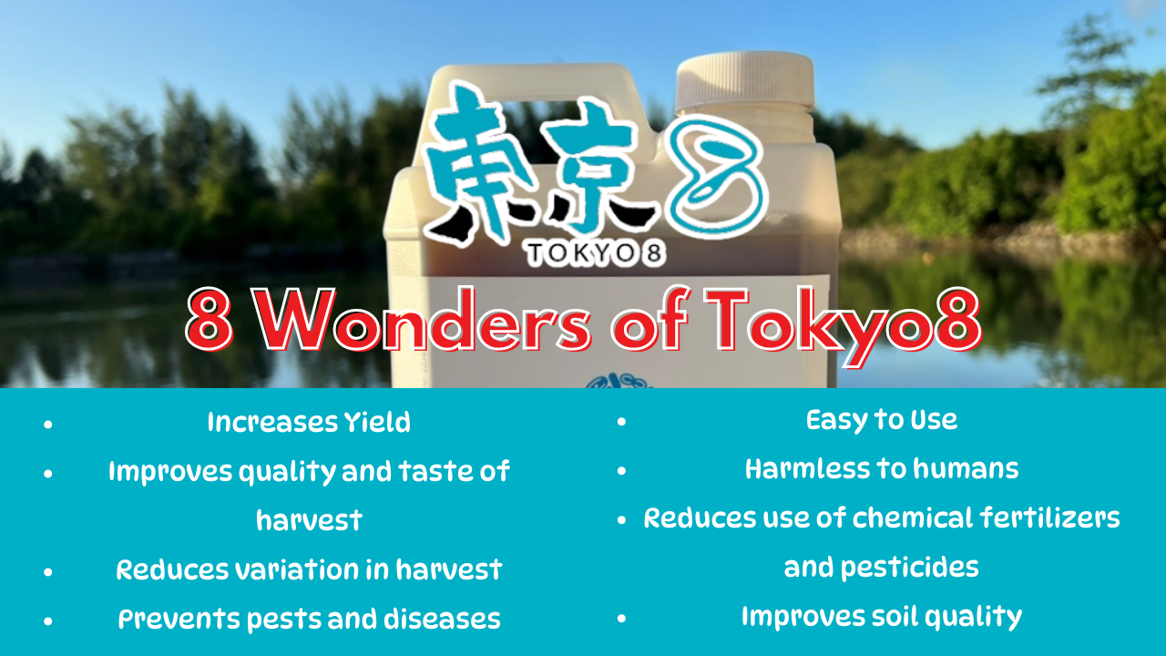 TOKYO8 Introduction Video “Bring out the true value of plants!”